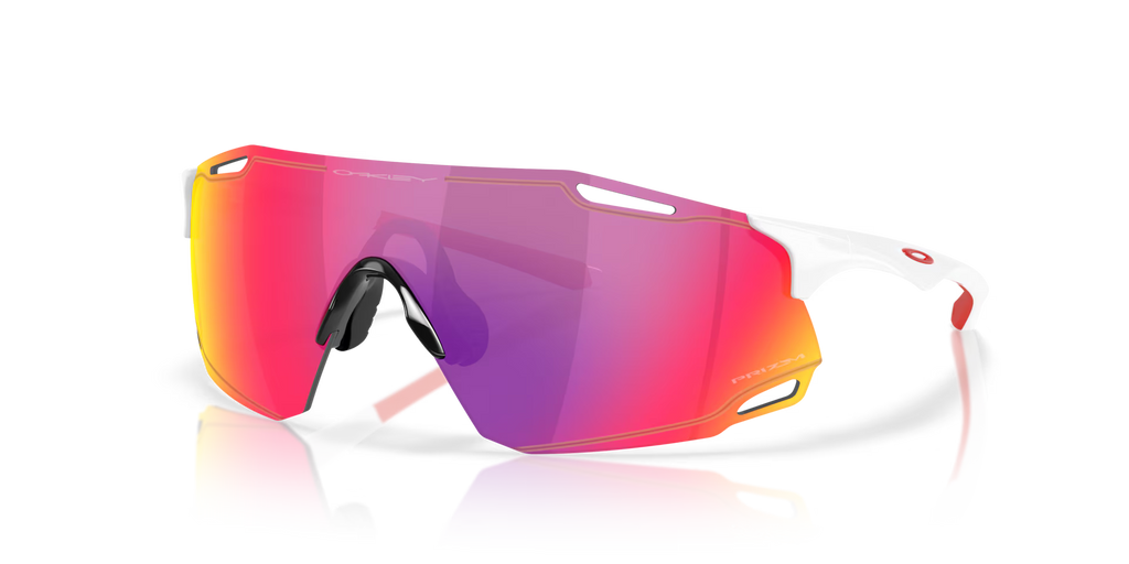 Oakley Men's Cybr Dyno Sunglasses