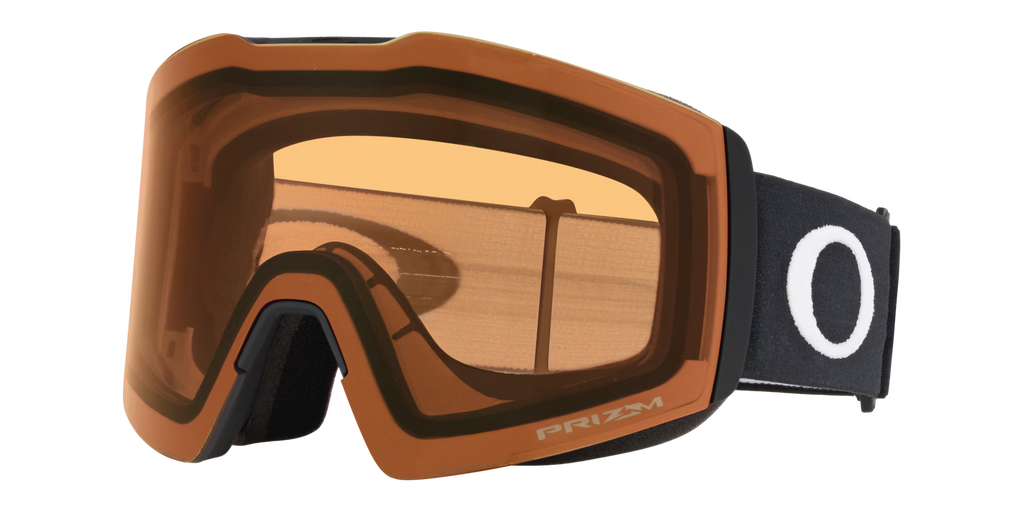 Oakley Men's Fall Line L Snow Goggles