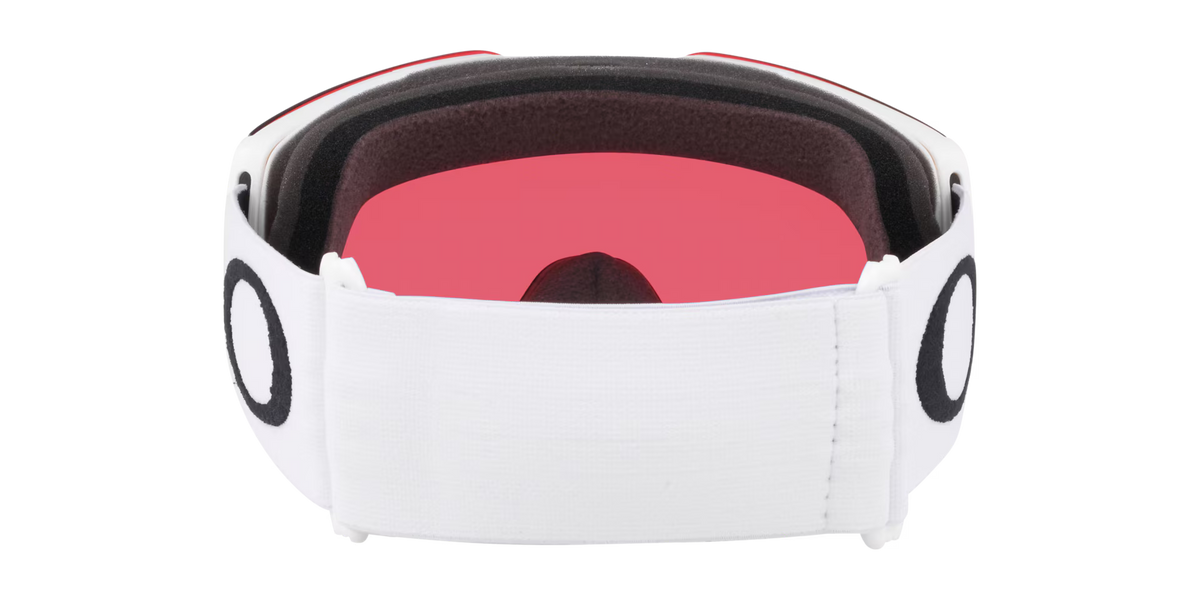 Oakley Men's Fall Line L Snow Goggles