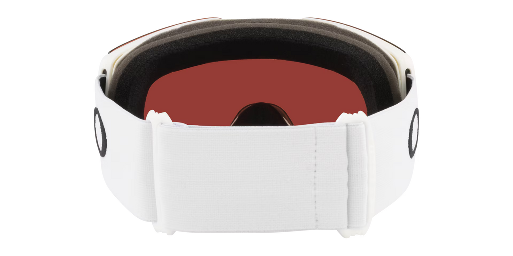 Oakley Men's Fall Line L Snow Goggles