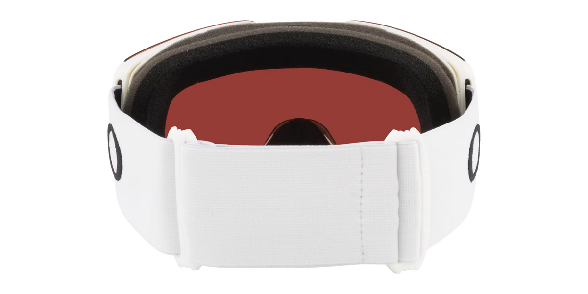 Oakley Men's Fall Line L Snow Goggles