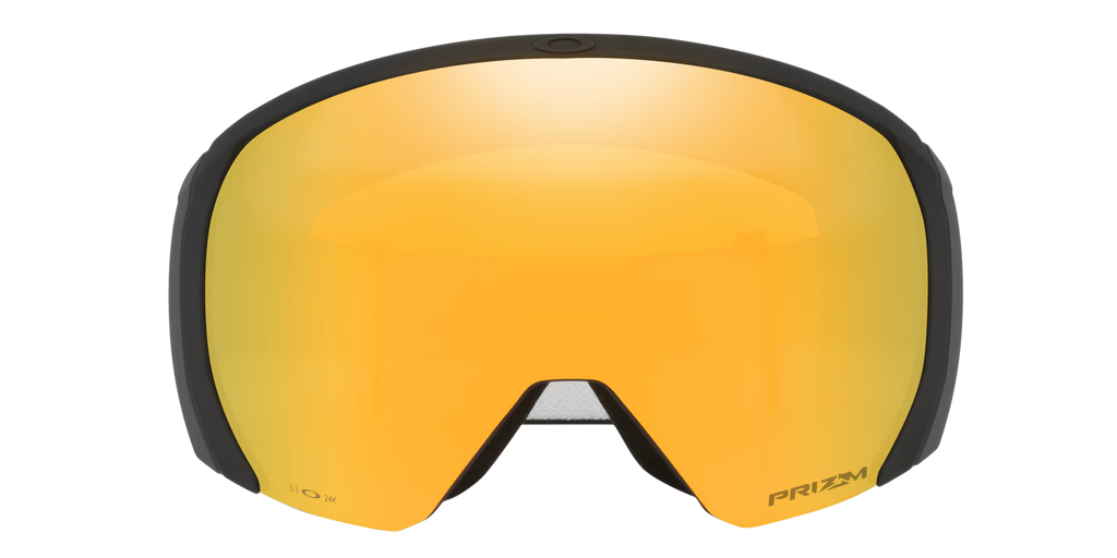 Oakley Men's Flight Path L Snow Goggles