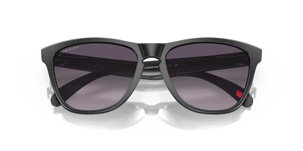 Oakley Men's Frogskins (low Bridge Fit) Sunglasses