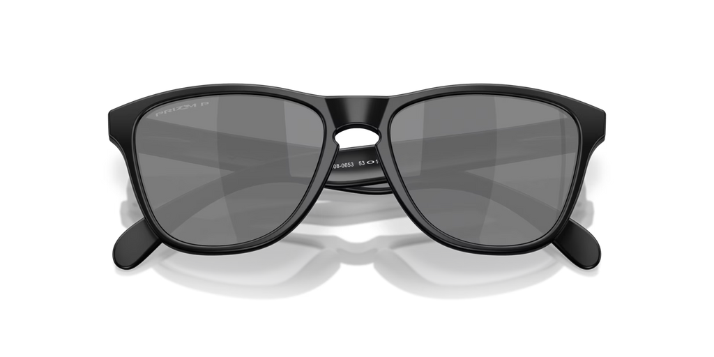 Oakley Men's Frogskins S Sunglasses