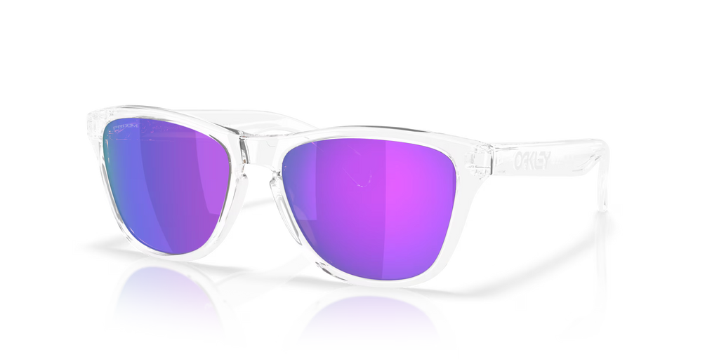 Oakley Men's Frogskins S Sunglasses