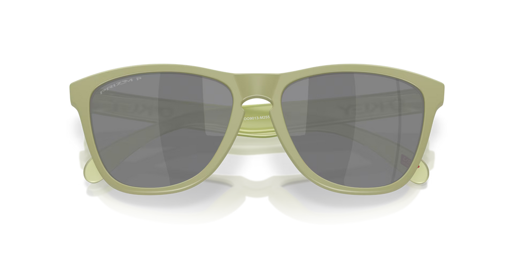 Oakley Men's Frogskins Sunglasses - Matte Fern