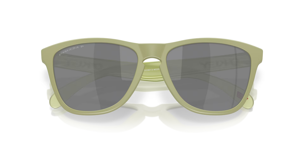 Oakley Men's Frogskins Sunglasses - Matte Fern