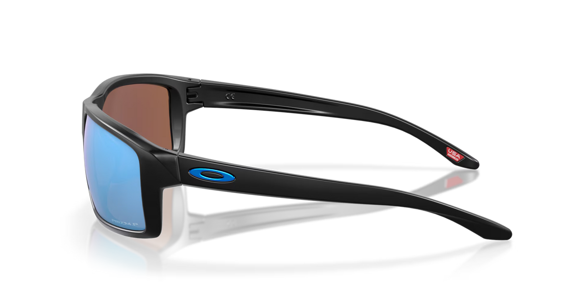 Oakley Men's Gibston Sunglasses - Black