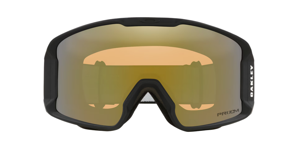 Oakley Men's Line Miner M Snow Goggles - Black