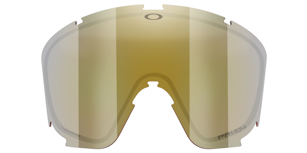 Oakley Men's Mont Scape L Replacement Lens