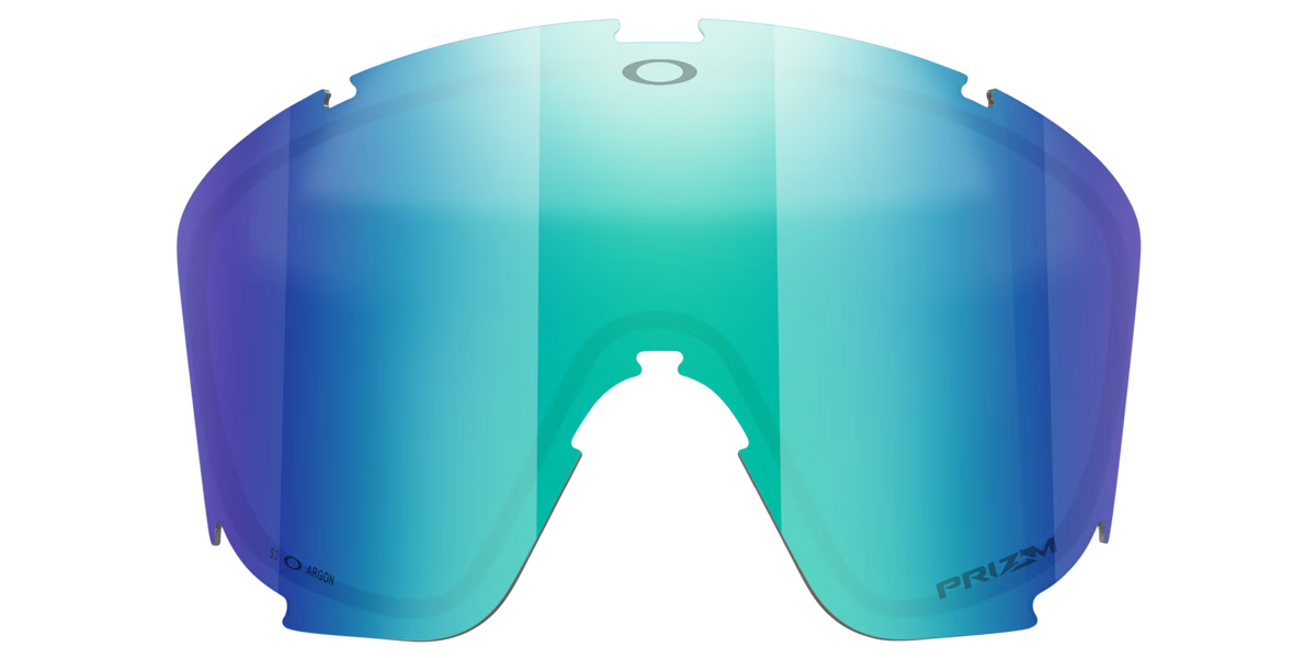 Oakley Men's Mont Scape L Replacement Lens