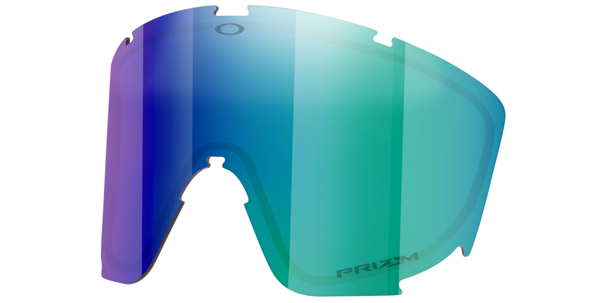 Oakley Men's Mont Scape L Replacement Lens