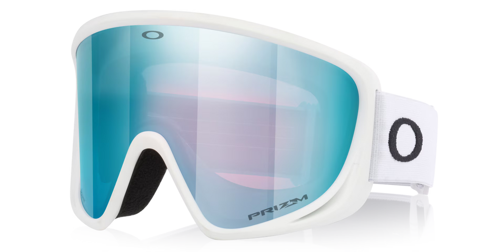Oakley Men's Mont Scape L Snow Goggles