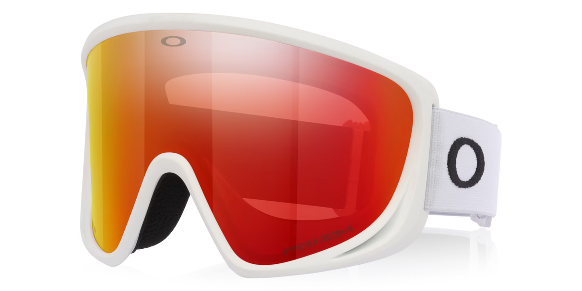 Oakley Men's Mont Scape L Snow Goggles