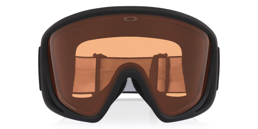 Oakley Men's Mont Scape L Snow Goggles
