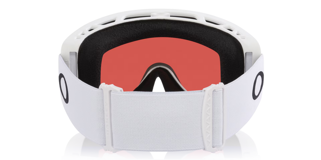 Oakley Men's Mont Scape L Snow Goggles
