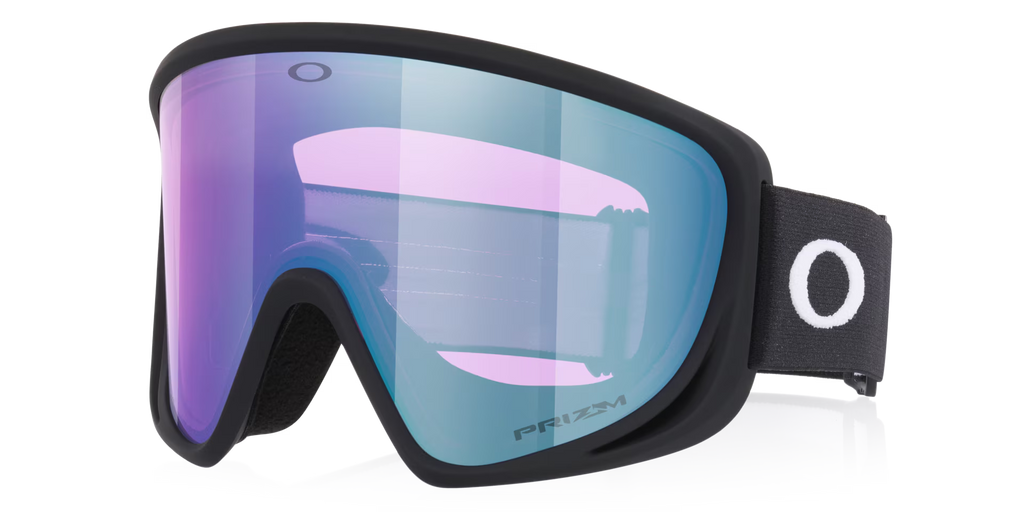 Oakley Men's Mont Scape L Snow Goggles