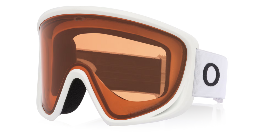 Oakley Men's Mont Scape L Snow Goggles