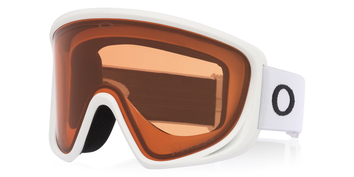 Oakley Men's Mont Scape L Snow Goggles