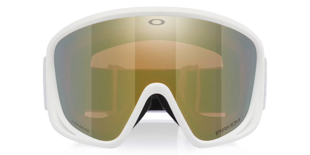 Oakley Men's Mont Scape L Snow Goggles