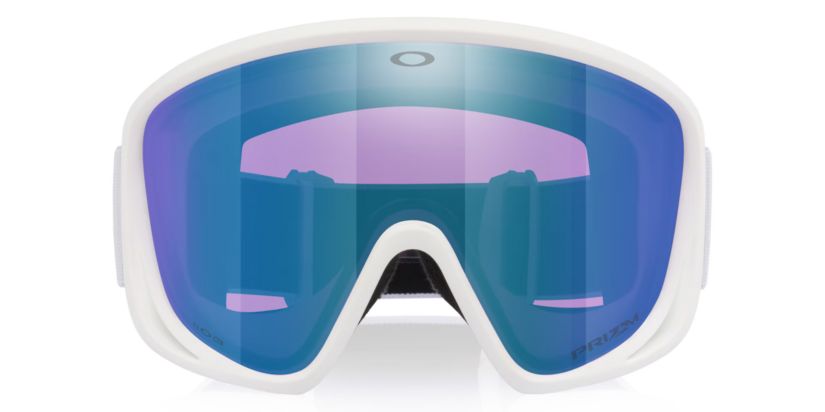 Oakley Men's Mont Scape L Snow Goggles