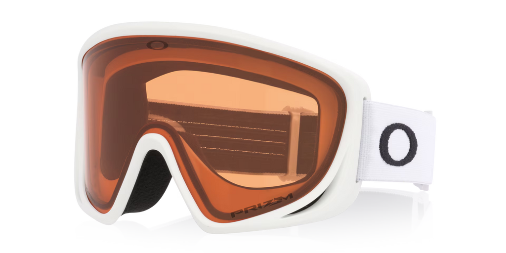 Oakley Men's Mont Scape M Snow Goggles