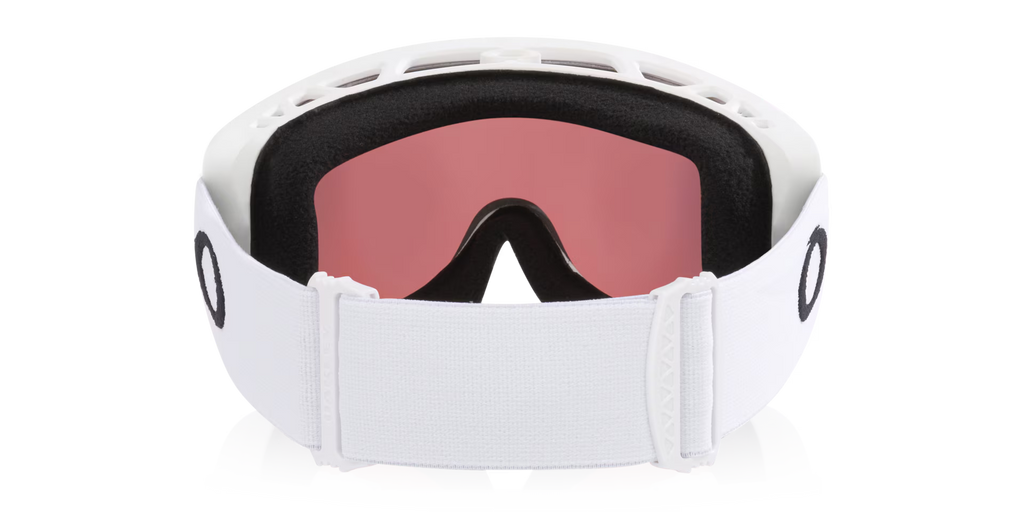 Oakley Men's Mont Scape M Snow Goggles