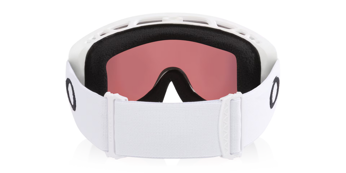 Oakley Men's Mont Scape M Snow Goggles
