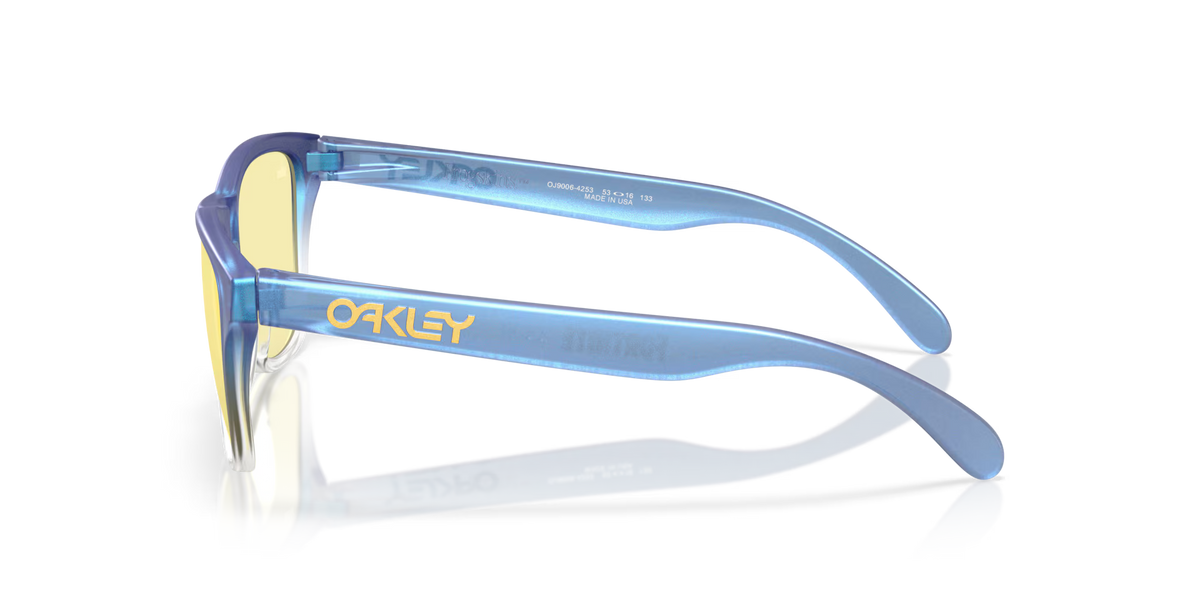 Oakley Men's Oakley X Fortnite Frogskins Xs (youth Fit) Sunglasses - Blue/Cyan