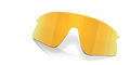 Oakley Men's Stunt Devil Replacement Lens